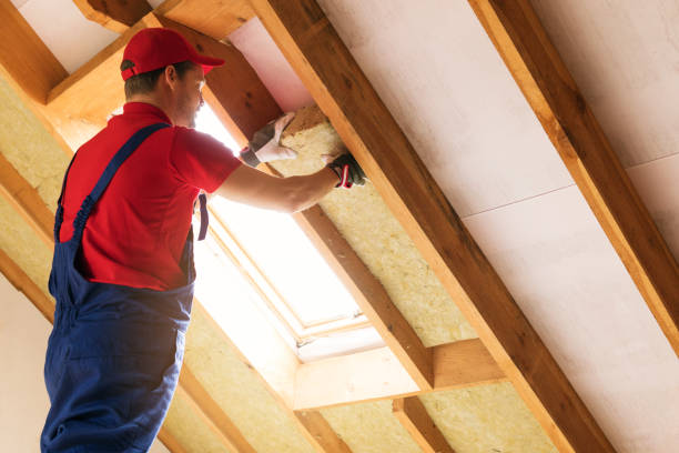 Best Eco-Friendly or Green Insulation Solutions  in , MD